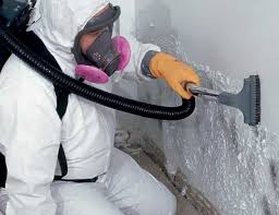 Best Basement Mold Removal in Castle Shannon, PA